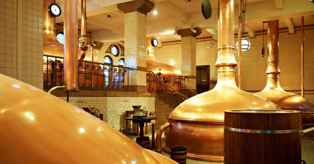 Heineken Experience tasting